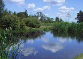Yan Yean ACT Accommodation Gladstone