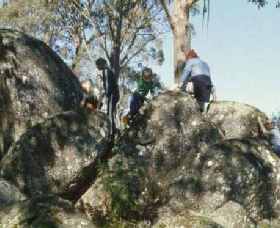 Mount Samaria State Park - Accommodation Gladstone 0