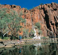 Python Pool - Accommodation Gladstone