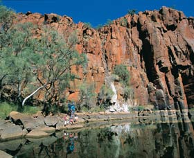 Python Pool - Accommodation Gladstone 0