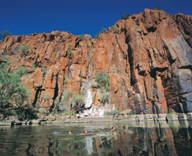 Python Pool - Accommodation Gladstone 1