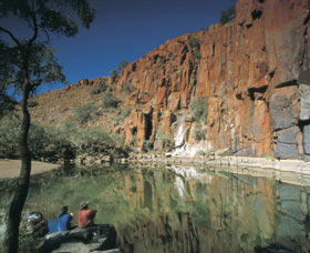 Python Pool - Accommodation Gladstone 2