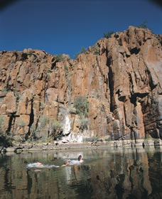 Python Pool - Accommodation Gladstone 3