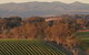 Angullong Wines - thumb 0