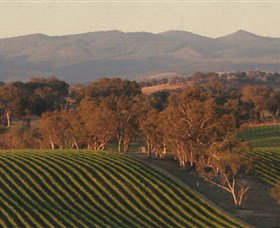 Angullong Wines - Accommodation Gladstone 0