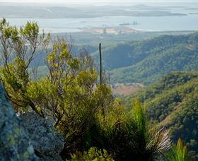 Mount Larcom Climb - Accommodation Gladstone 1