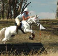 National Equestrian Centre - Kerrabee - Accommodation Gladstone