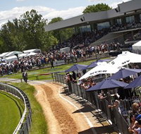 Thoroughbred Park Canberra Racing Club - Horse Racing in the Nations Capital - Accommodation Gladstone