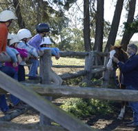 Harlow Park Horse Riding - Accommodation Gladstone