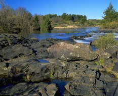 Book Canberra ACT Attractions Accommodation Gladstone Accommodation Gladstone