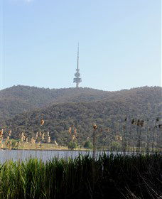 Black Mountain Peninsula - Accommodation Gladstone 0