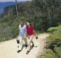 Blue Mountains Walking Tracks - Accommodation Gladstone
