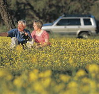 Coalseam Conservation Park - Accommodation Gladstone