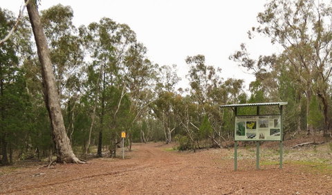 Little Llangothlin Picnic Area - Accommodation Gladstone 2
