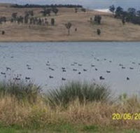 Lake Liddell Recreation Area - Accommodation Gladstone