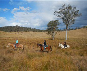 Chapman Valley Horse Riding - Accommodation Gladstone 0