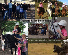 Chapman Valley Horse Riding - Accommodation Gladstone 5