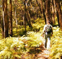 Federal Pass - Accommodation Gladstone