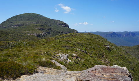 Mount Banks Road Cycle Route - Accommodation Gladstone 0