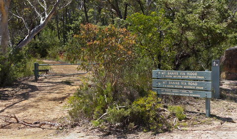 Mount Banks Road Cycle Route - Accommodation Gladstone 1