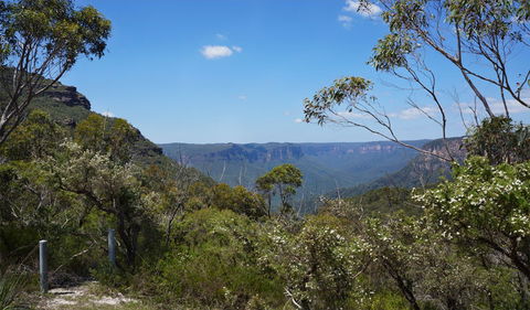 Mount Banks Road Cycle Route - Accommodation Gladstone 2