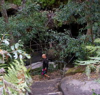 Leura Cascades Fern Bower - Accommodation Gladstone