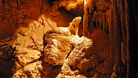 Wombeyan Karst Conservation Reserve - Accommodation Gladstone 2