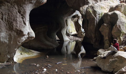 Fig Tree Cave - Accommodation Gladstone 2