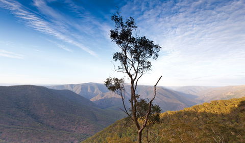 Salisbury Waters Walking Track - Accommodation Gladstone 0