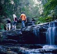 South Lawson Waterfall Circuit - Accommodation Gladstone