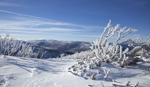 Rock Creek Snowshoe Track - Accommodation Gladstone 0