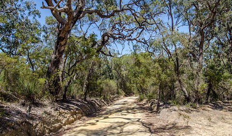 Howes Trail - Accommodation Gladstone 0