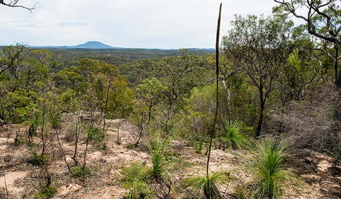 Howes Trail - Accommodation Gladstone 1