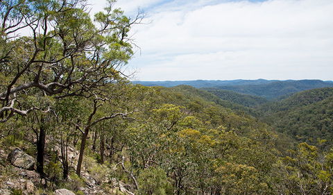 Howes Trail - Accommodation Gladstone 2