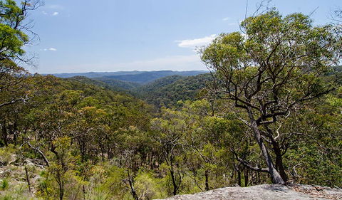 Howes Trail - Accommodation Gladstone 3