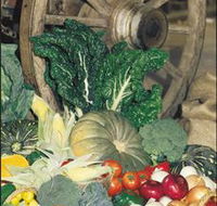 Mulgowie Real Farmers Markets - Accommodation Gladstone