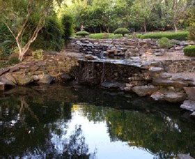 Bundaberg Botanic Gardens And Playground - Accommodation Gladstone 1