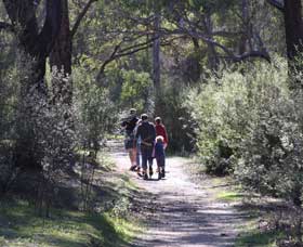 Walyunga National Park WA Accommodation Gladstone