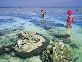 Southern Great Barrier Reef - Accommodation Gladstone 1