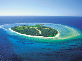 Southern Great Barrier Reef - Accommodation Gladstone 0