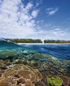 Southern Great Barrier Reef - Accommodation Gladstone 2