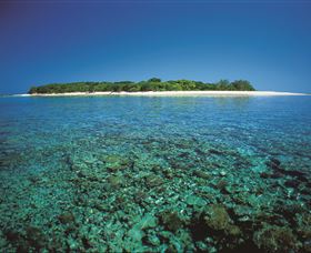 Southern Great Barrier Reef - Accommodation Gladstone 3