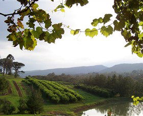 Enniskillen Orchard - Accommodation Gladstone 1