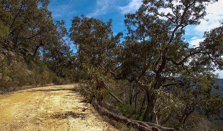 Colo Heights NSW Accommodation Gladstone