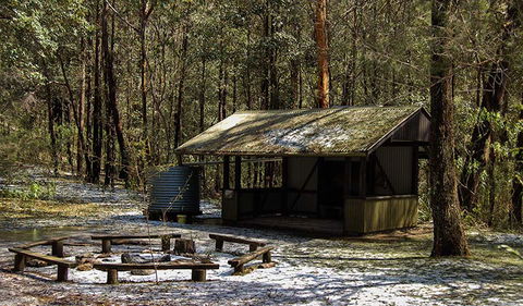Parr State Conservation Area - Accommodation Gladstone 1