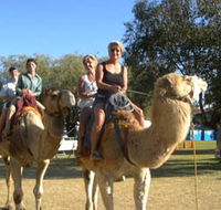 Calamunnda Camel Farm  - Accommodation Gladstone