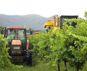 Stomp! Wines - Accommodation Gladstone 8