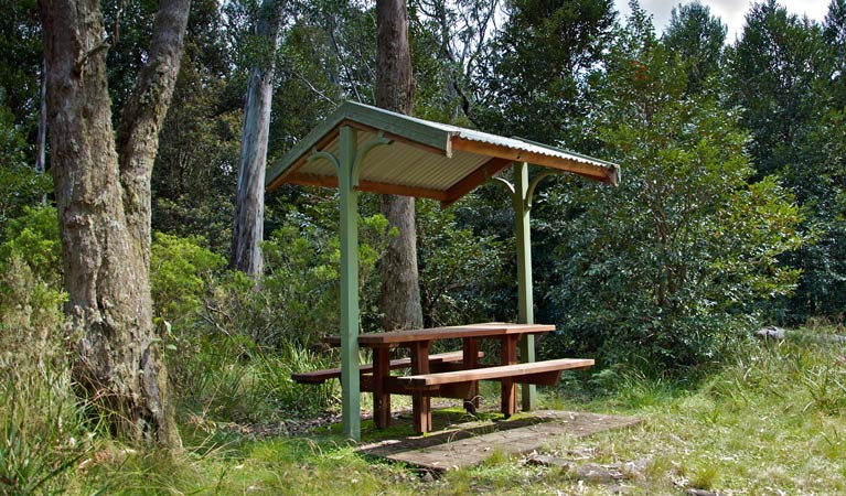 Coneac NSW Accommodation Gladstone