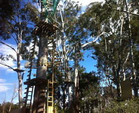 Trees Adventure Grose River Park - Accommodation Gladstone 1