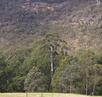 Bangadilly National Park - Accommodation Gladstone